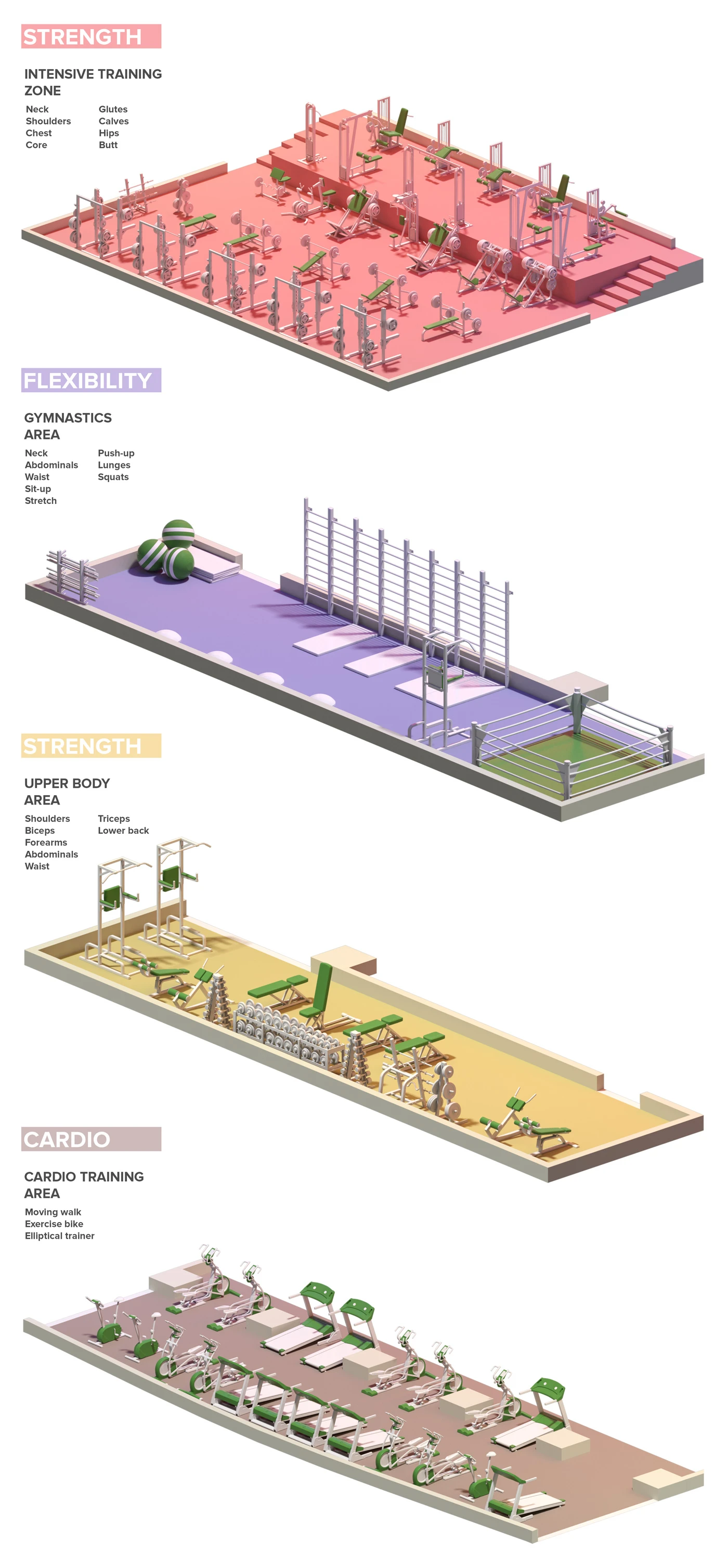 Детализация оборудования в 3D плане зала - группы тренажеров и планировка