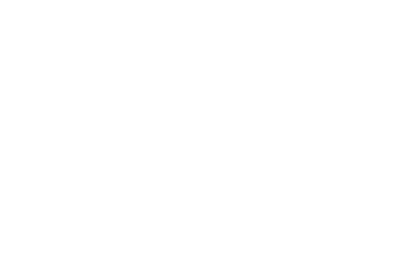 3D дизайнер Duck11035